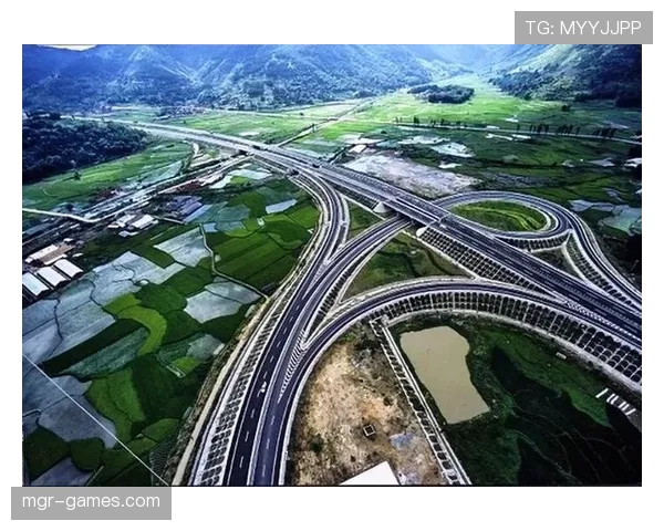 那不勒斯数据揭示城市交通新趋势：智能系统助力出行效率提升