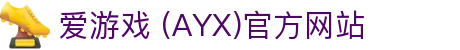AYX爱游戏在线官网